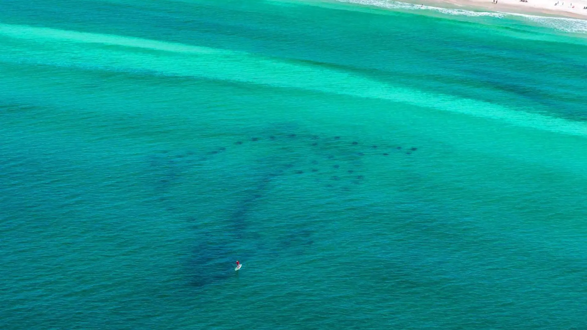 Aqua Vida Villa Destin 0*,